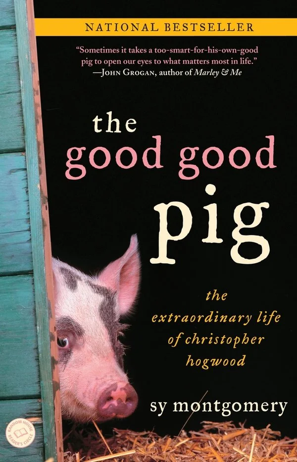 GoodGoodPig