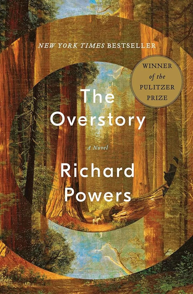 TheOverstory